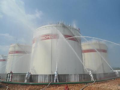Нефтяная и нефтехимическая отрасли
